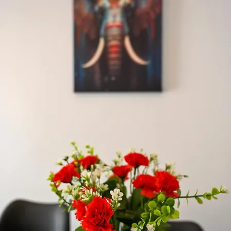 Downtown Comfort 1 *