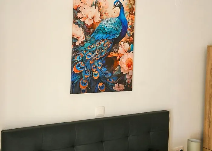 Downtown Comfort 1